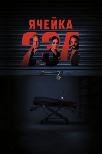  Ячейка 234 (2023 ) 