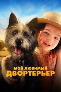  Мой любимый двортерьер (2024 ) 