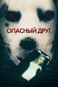  Опасный друг (2022 ) 