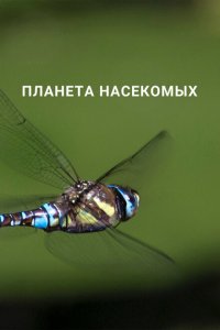  Планета насекомых (2022 ) 