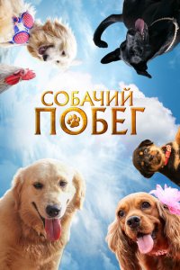  Собачий побег (2023 ) 