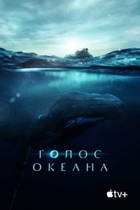  Голос Океана (2021 ) 