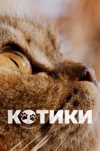  Котики (2022 ) 